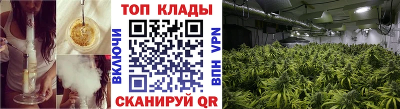 Названия наркотиков Киселёвск Конопля  COCAIN  Альфа ПВП  Меф  ГАШИШ 