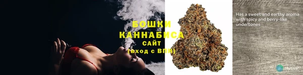 шишки Бугульма