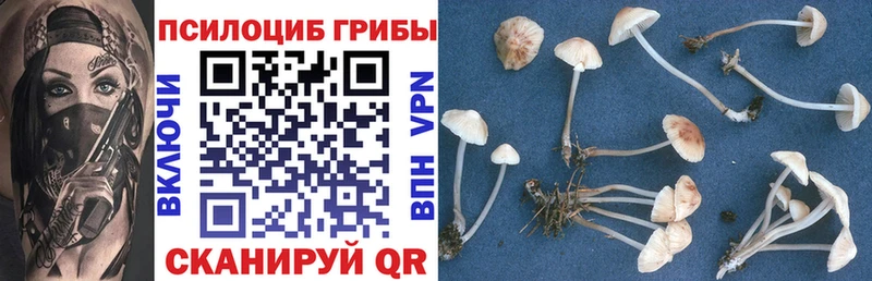 Псилоцибиновые грибы мухоморы  Киселёвск 